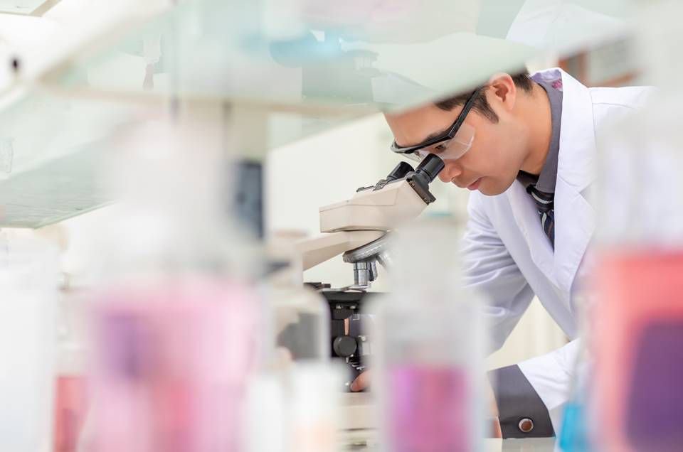 Uma nova trava do sistema imunológico 